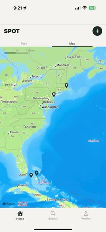 Map preview